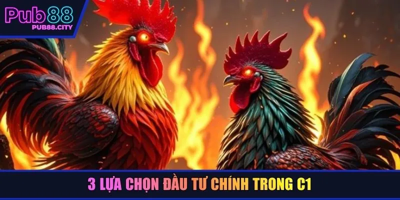 3 lựa chọn đầu tư chính trong C1