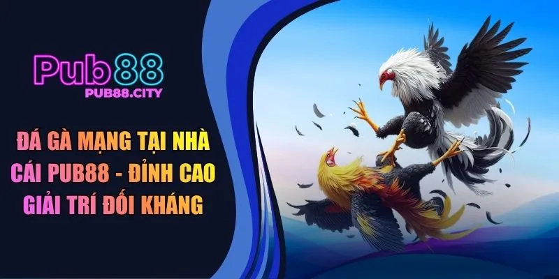 đá gà mạng tại nhà cái Pub88