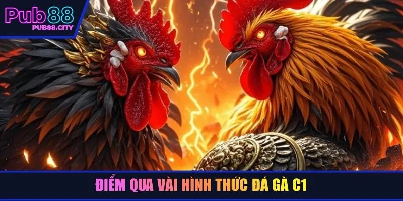 Điểm qua vài hình thức đá gà C1