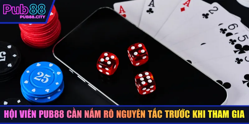 Hội viên Pub88 cần nắm rõ nguyên tắc trước khi tham gia