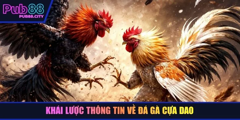 Khái lược thông tin về đá gà cựa dao