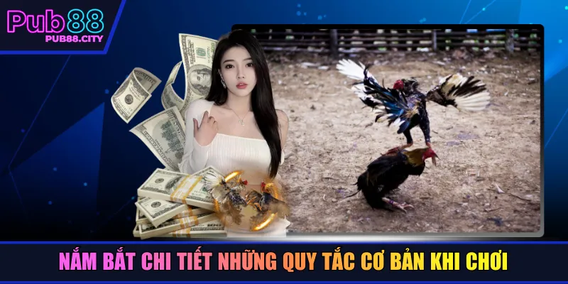 Nắm bắt chi tiết những quy tắc cơ bản khi chơi