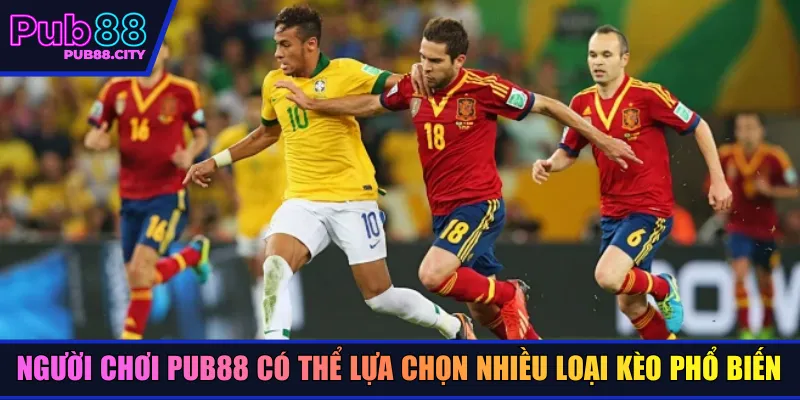 Người chơi PUB88 có thể lựa chọn nhiều loại kèo phổ biến