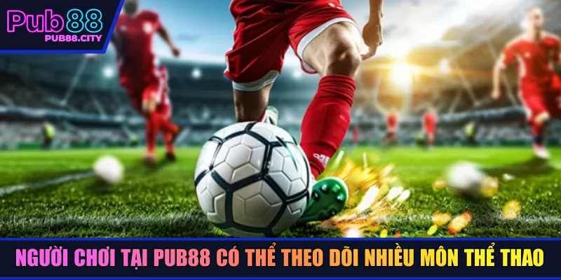 Người chơi tại Pub88 có thể theo dõi nhiều môn thể thao