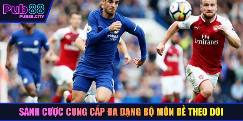 Sảnh cược cung cấp đa dạng bộ môn dễ theo dõi