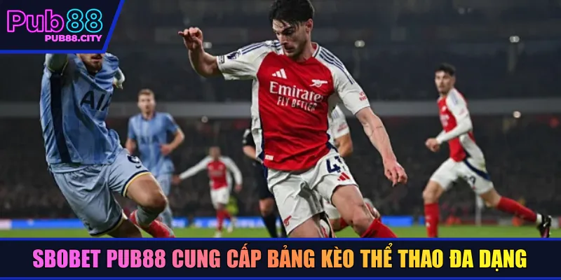 Sbobet Pub88 cung cấp bảng kèo thể thao đa dạng