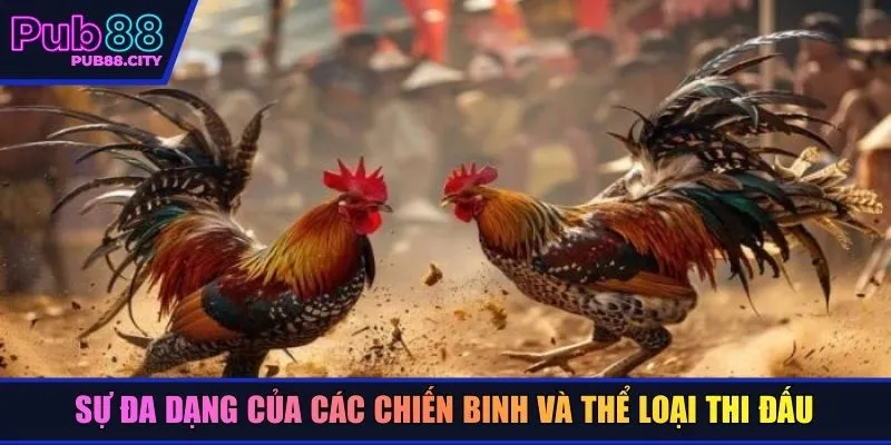 Sự đa dạng của các chiến binh và thể loại thi đấu